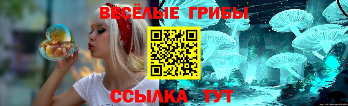 Ступино  Псилоцибиновые грибы мухоморы  Вход с VPN 
